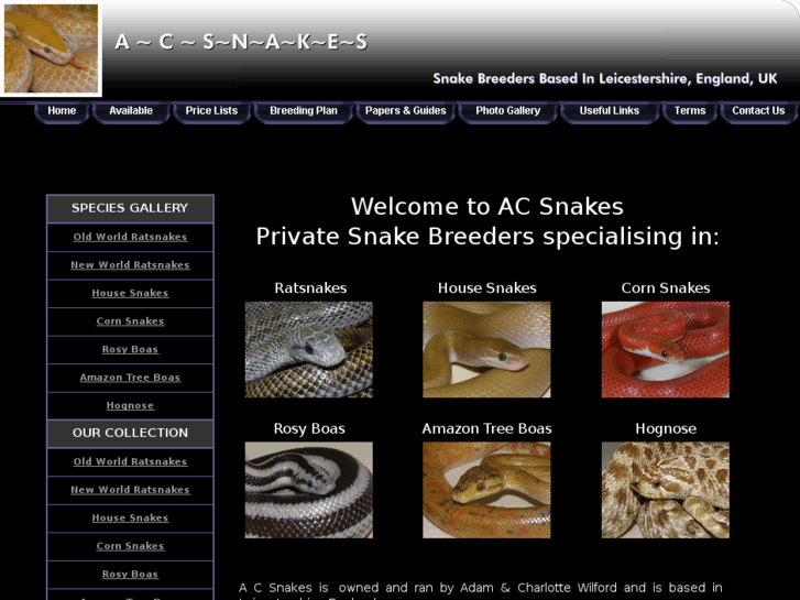 www.acsnakes.com