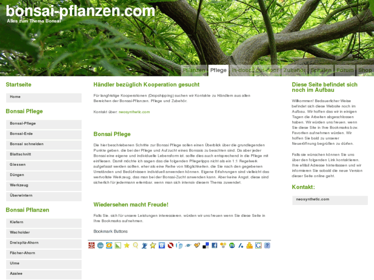 www.bonsai-pflanzen.com