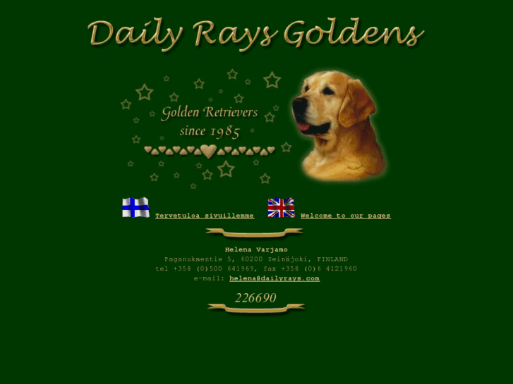 www.dailyrays.com