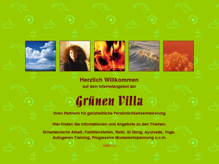 www.gruenevilla.de