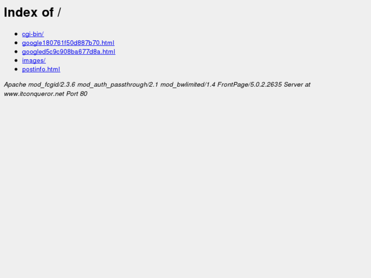 www.itconqueror.net