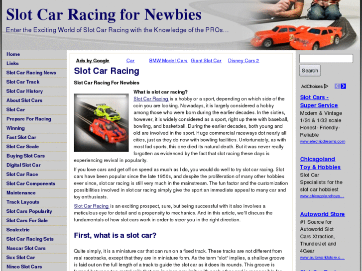 www.slotcarracingfornewbies.com