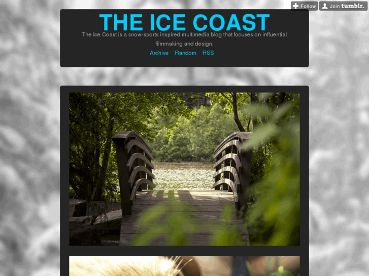 www.theicecoast.com