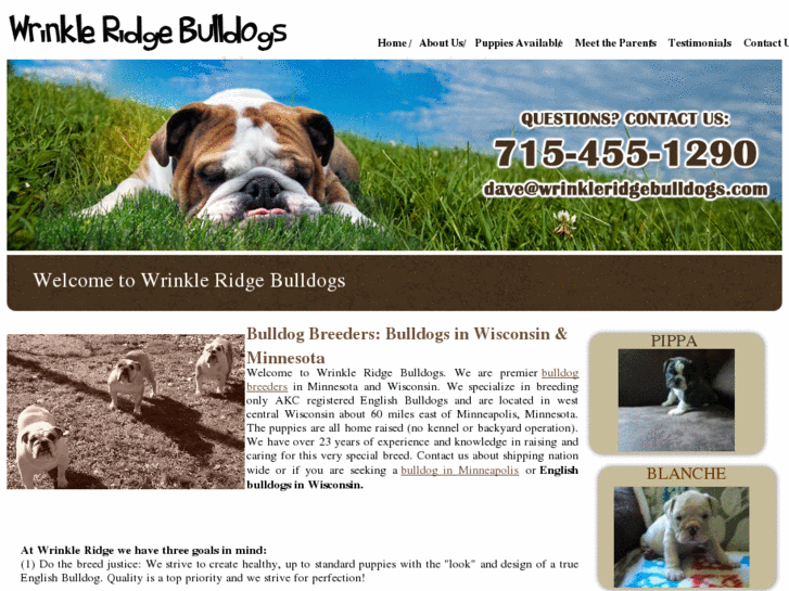 www.wrinkleridgebulldogs.com