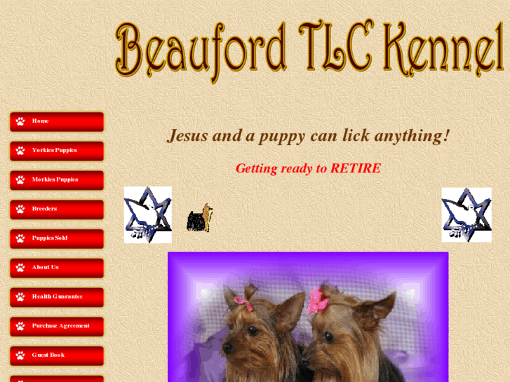 www.yorkshireterrierpup.com