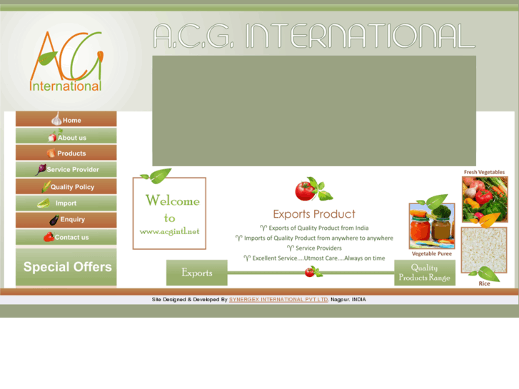 www.acgintl.net