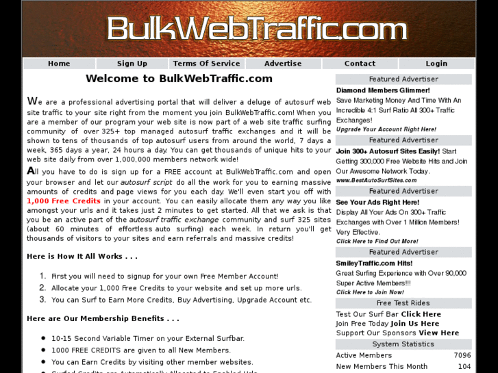 www.bulkwebtraffic.com