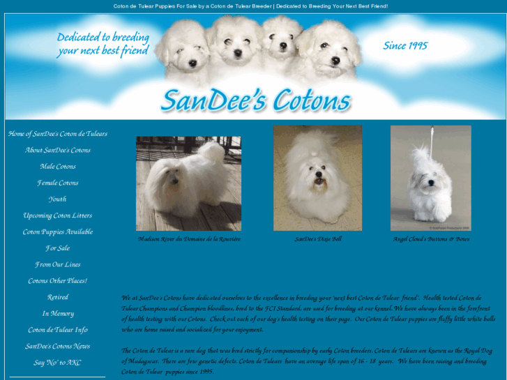 www.cotondetulearpuppiesbreeder.com