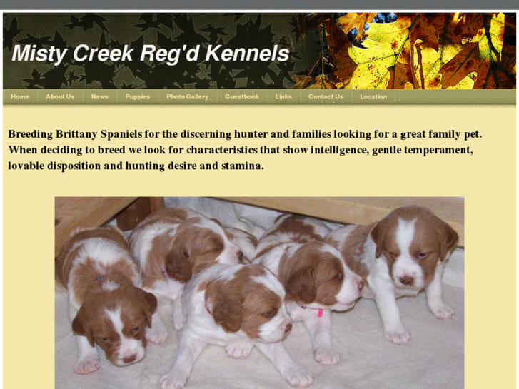 www.mistycreekkennels.com