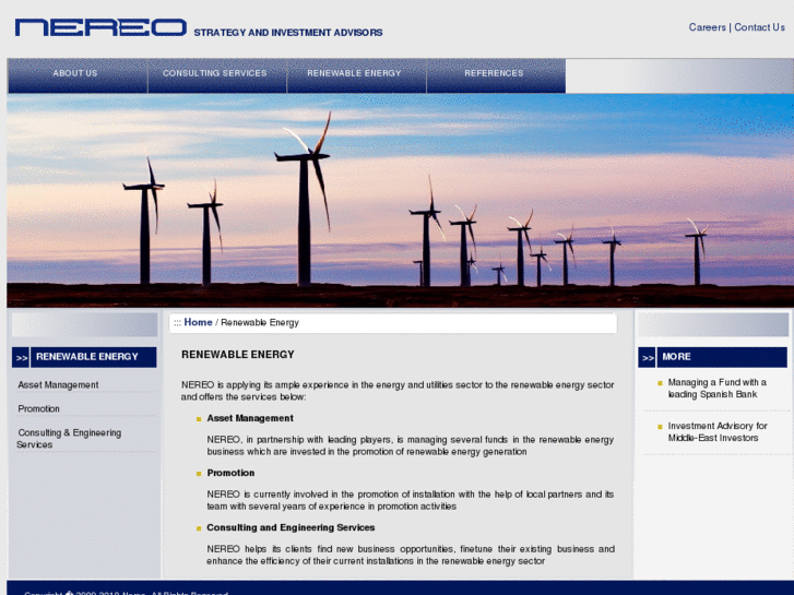 www.nereoenergia.com