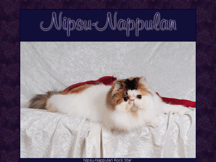 www.nipsu-nappulan.net