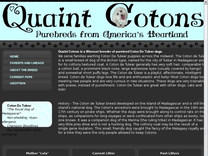 www.quaintcotons.com