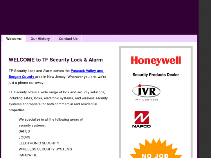 www.tfsecurity.net