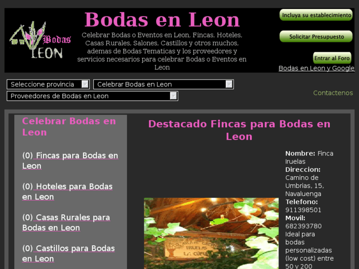 www.bodasenleon.com