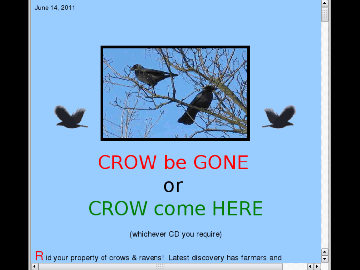 www.crowbegone.com