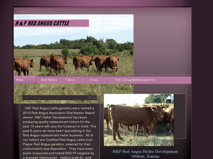 www.hfredanguscattle.com