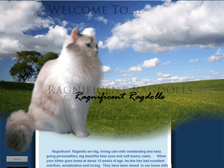 www.ragnificentragdolls.com