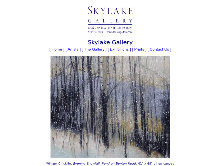 www.skylakegallery.com