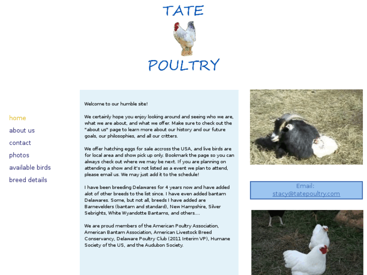 www.tatepoultry.com