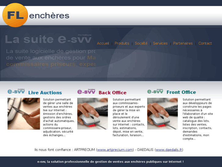 www.e-svv.com