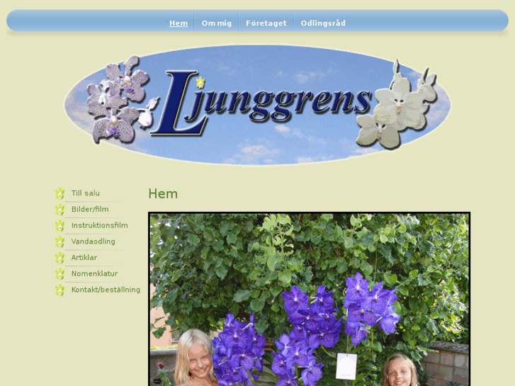 www.ljunggrens.org