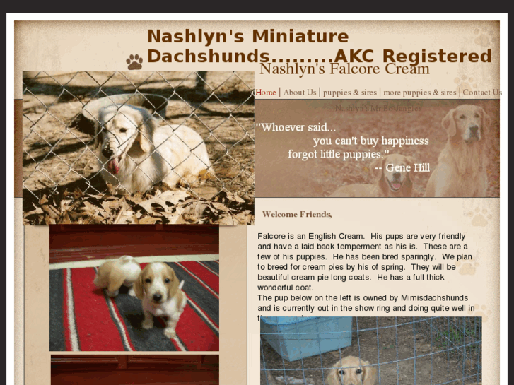 www.nashlynsminidachshunds.com