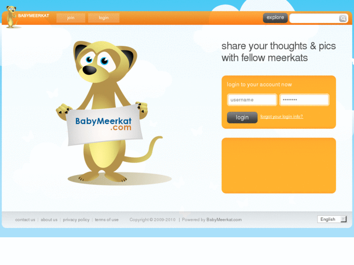 www.babymeerkat.com