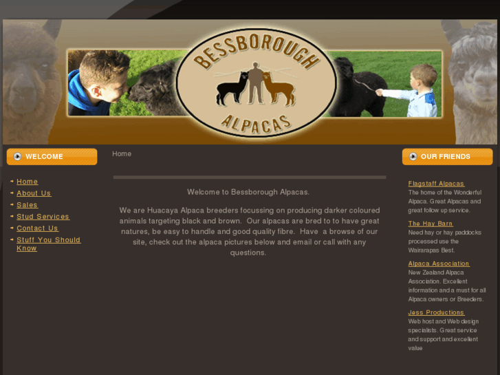 www.bessboroughalpacas.co.nz