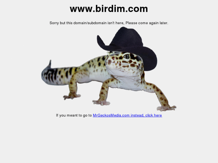 www.birdim.com