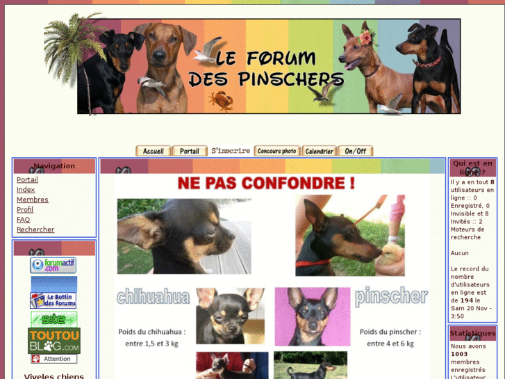 www.forum-pinscher.com