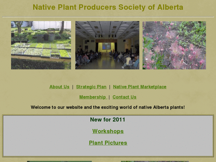 www.nativescapealberta.com