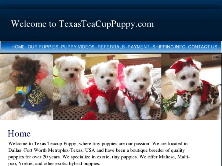 www.texasteacuppuppy.com