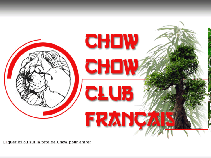 www.chowchowclubfrancais.com