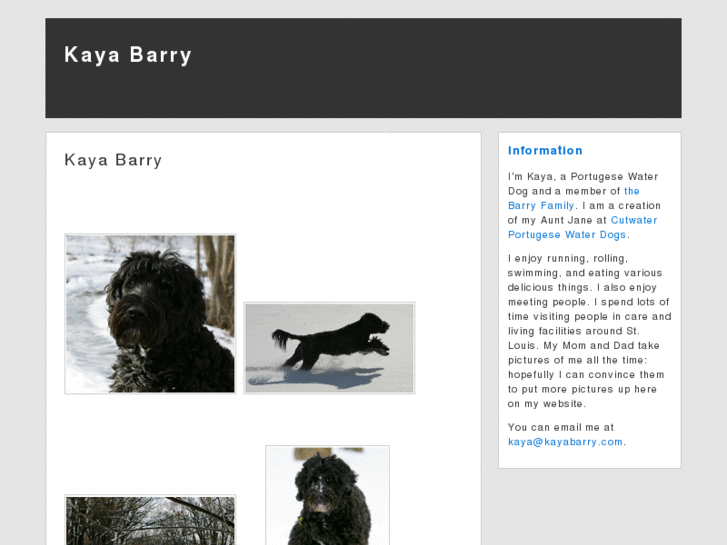 www.kayabarry.com