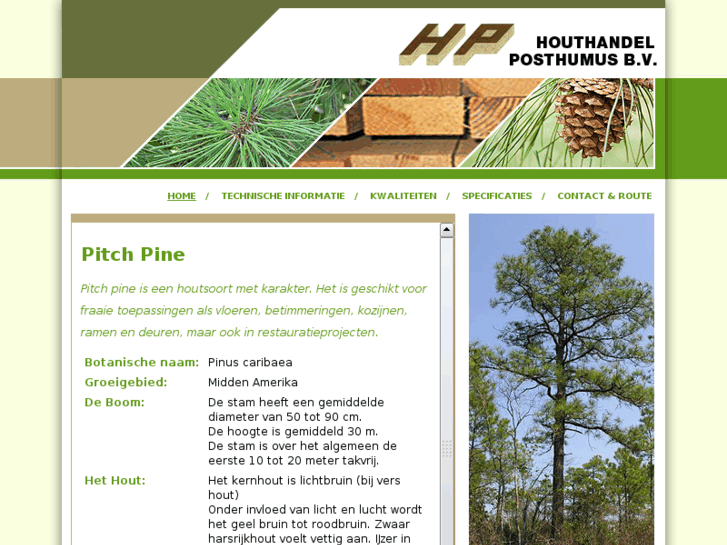 www.pitch-pine.com