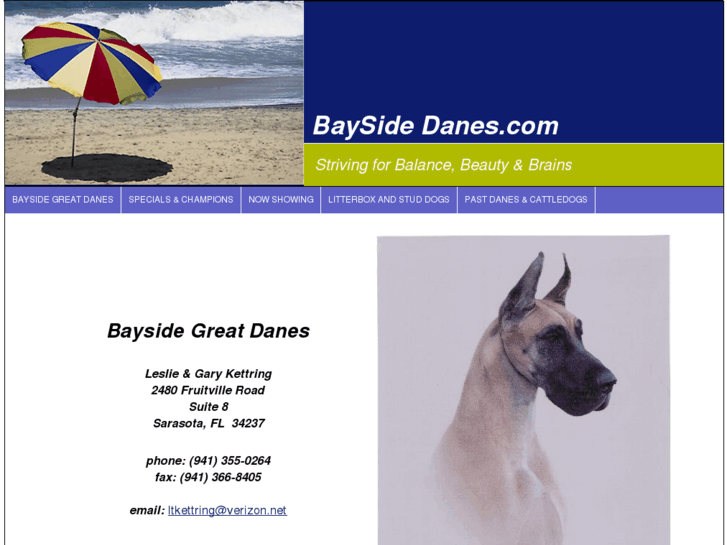 www.baysidedanes.com