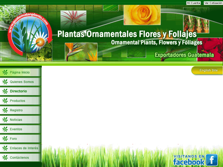 www.guatemalanplants.com