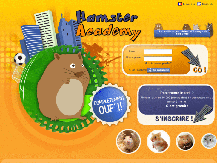 www.hamsteracademy.fr