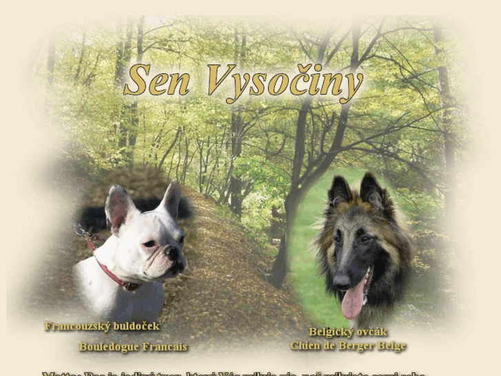 www.senvysociny.com