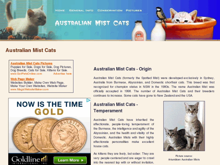 www.australian-mist-cats.com