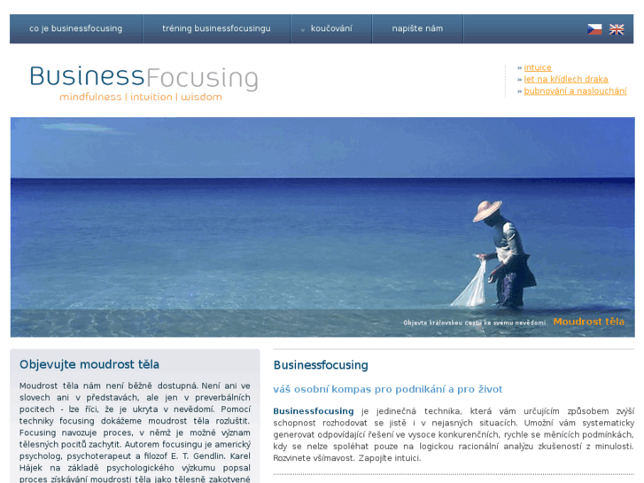 www.businessfocusing.cz