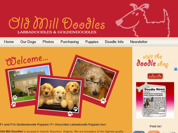 www.oldmilldoodle.com