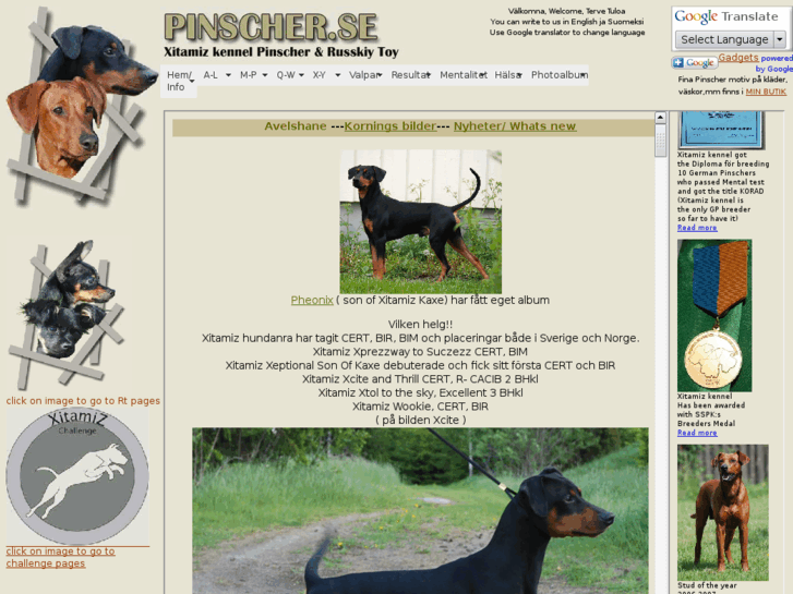 www.pinscher.se