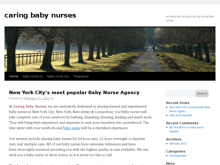 www.baby-nurses.info