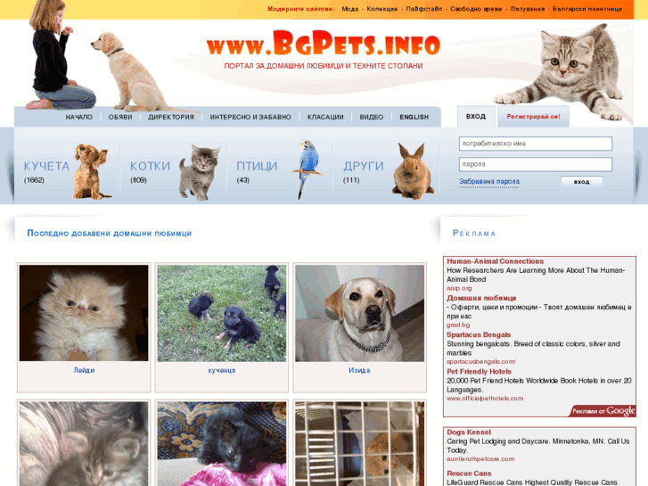 www.bgpets.info