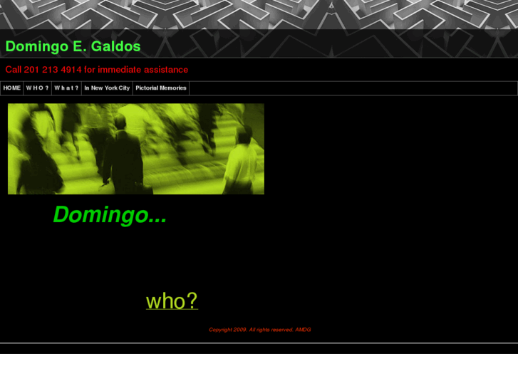 www.godomingo.com
