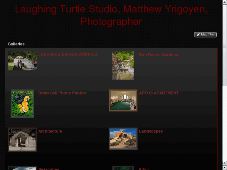 www.laughingturtlestudio.net