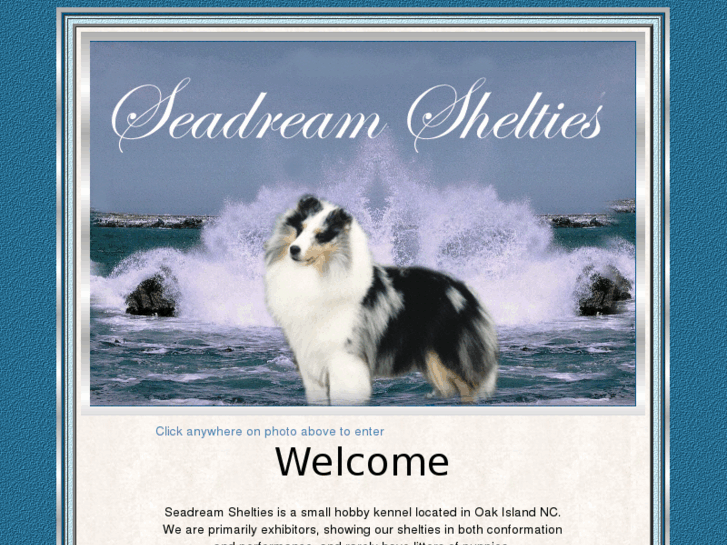 www.seadreamshelties.com