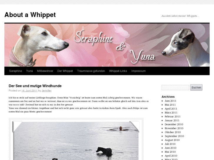 www.about-a-whippet.de