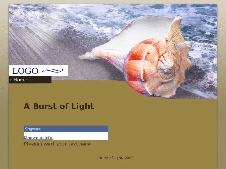 www.burstoflight.com